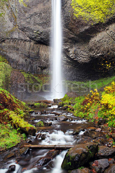 çağlayan Oregon sonbahar doğa güzellik dağ Stok fotoğraf © alptraum