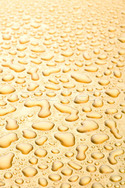 water drops background golden Stock photo © alptraum