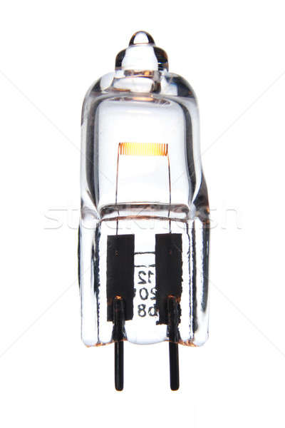 Halogen light bulb isolated on white. Stock photo © Alsos