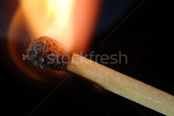 Igniting match Stock photo © Alsos
