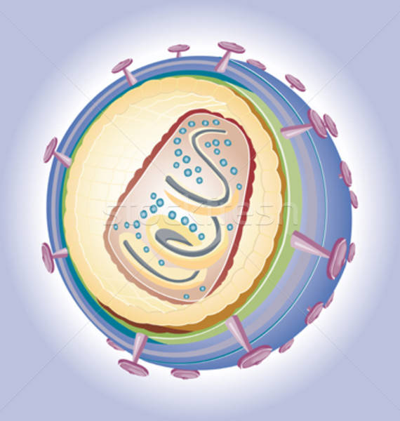 illustration of HIV vector - medical illustration Stock photo © alvaroc