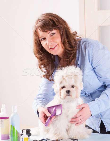Cane donna sorridente mano capelli bellezza lavoratore Foto d'archivio © Amaviael