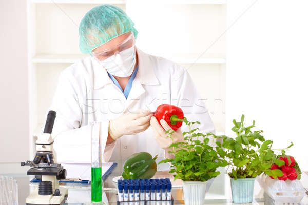 Stock fotó: Kutató · magasra · tart · génmanipulált · zöldség · laboratórium · organizmus