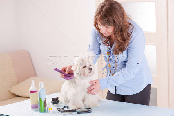 Perro mujer sonriente mano pelo belleza Foto stock © Amaviael