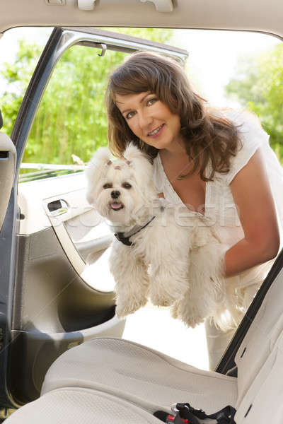 Chien voiture belle femme femme Voyage Retour [[stock_photo]] © Amaviael