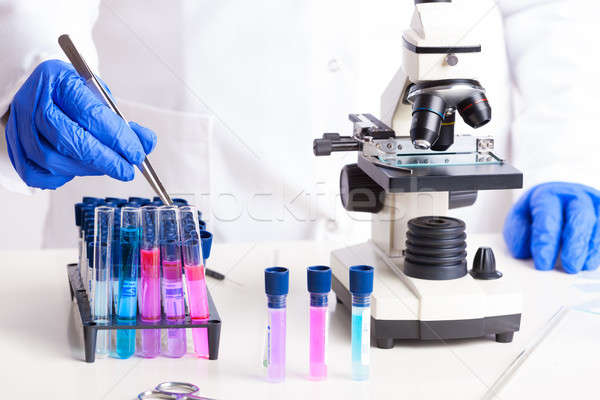 Laboratório equipamento lab técnico trabalhando microscópio Foto stock © Amaviael
