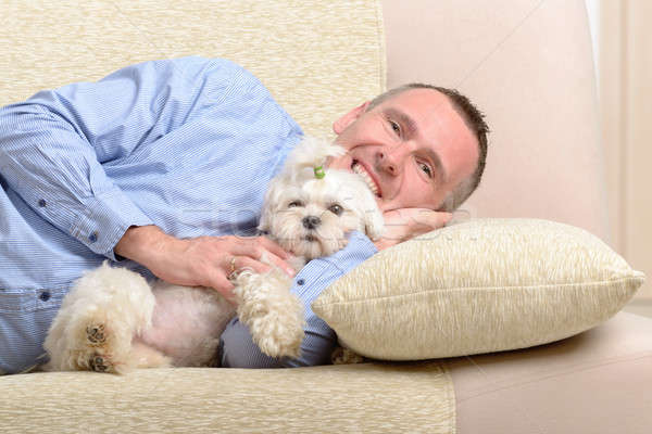 Kutya tulajdonos kicsi kanapé otthon boldog Stock fotó © Amaviael