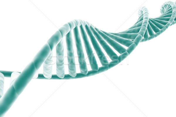 ADN aislado blanco resumen médicos células Foto stock © Amaviael