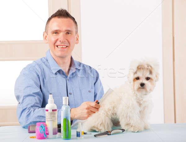 Foto stock: Perro · sonriendo · hombre · mano · pelo · belleza