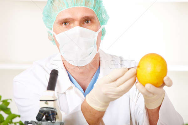 Stock photo: Researcher holding up a GMO vegetable in the laboratory