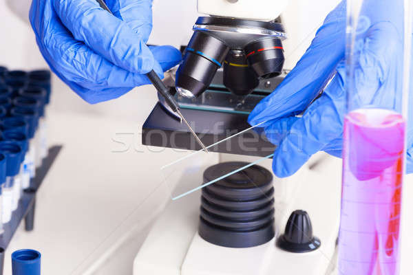 Laboratório equipamento lab técnico trabalhando microscópio Foto stock © Amaviael