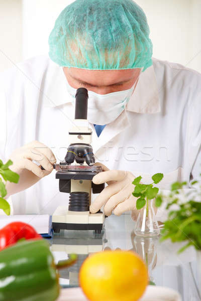 Chercheur légumes laboratoire organisme Photo stock © Amaviael
