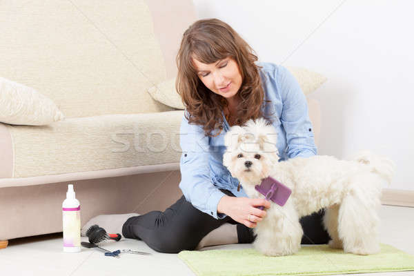 Cane home donna sorridente piano mano sorriso Foto d'archivio © Amaviael