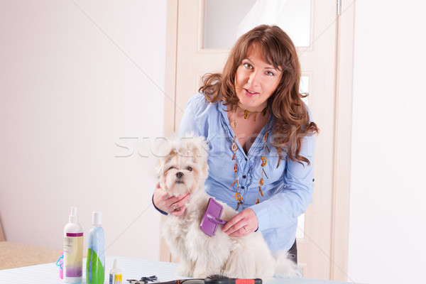 Kutya mosolygó nő kéz haj szépség munkás Stock fotó © Amaviael