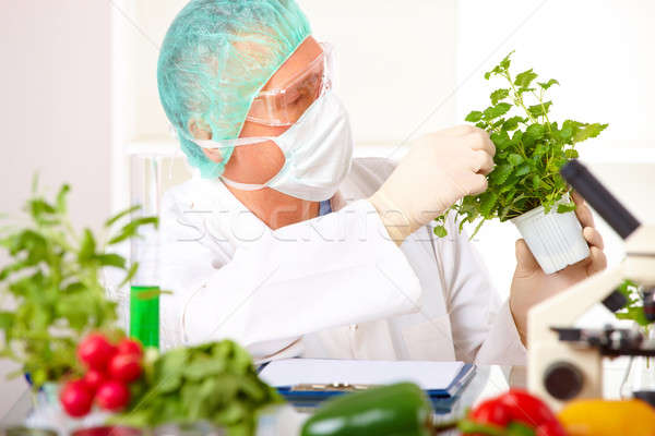 Researcher holding up a GMO vegetable in the laboratory Stock photo © Amaviael