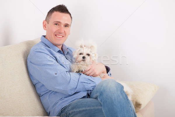 Perro propietario pequeño sesión sofá casa Foto stock © Amaviael