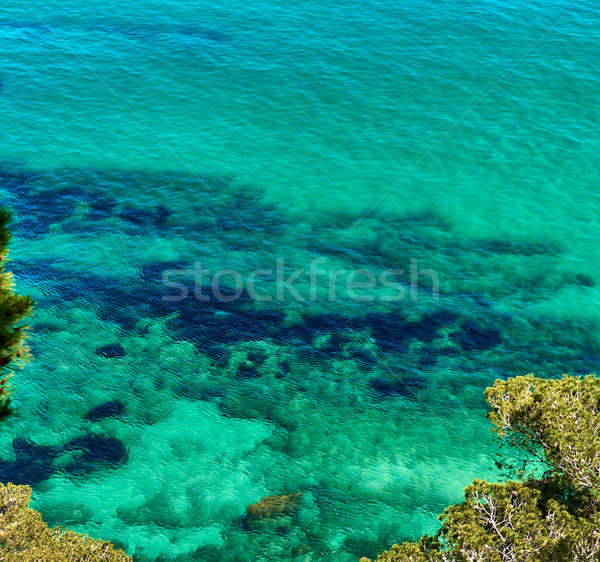 Lagoon with a turquoise water. Costa Brava, Catalonia, Spain Stock photo © amok