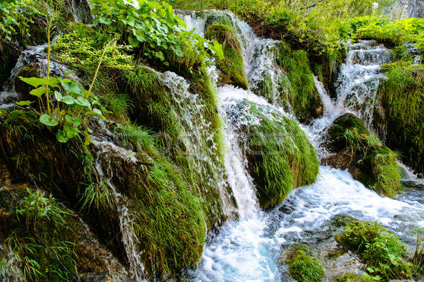 Beautiful waterfall. Plitvice Lakes National Park in Croatia Stock photo © amok