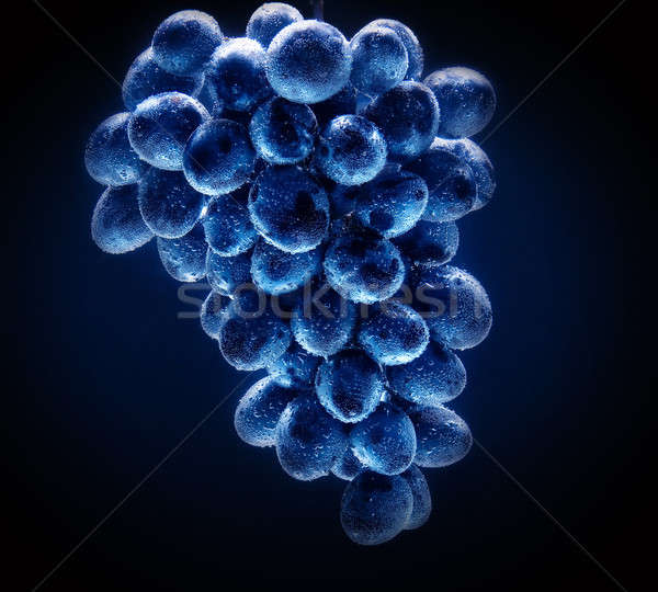 Szőlő gyülekezet fedett buborékok gyümölcs szőlő Stock fotó © amok