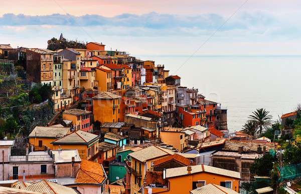 Colorful italian village of Manarola. Italy Stock photo © amok