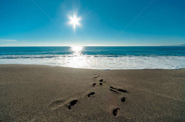 Sunny day, blue sea and footprints in the sand Stock photo © amok