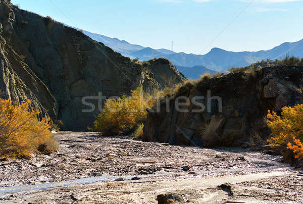 Tabernas Desert in Spain. Andalusia, Province of Almeria Stock photo © amok