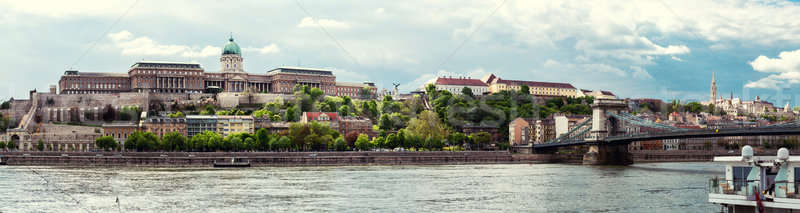 Panorama of Royal Palace (Buda Castle). Budapest, Hungary Stock photo © amok