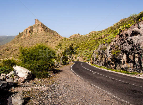 Rocky landscape of Tenerife. Canary Islands. Spain Stock photo © amok