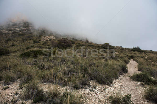 Bergen wolken Spanje berg Europa pad Stockfoto © amok