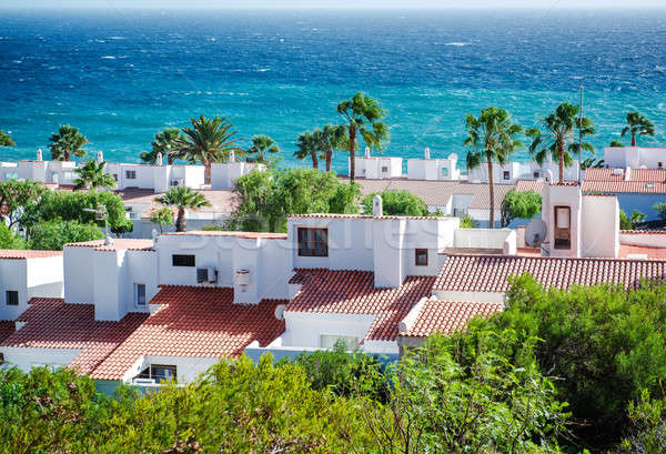 View to the rooftops of houses and Atlantic ocean Stock photo © amok