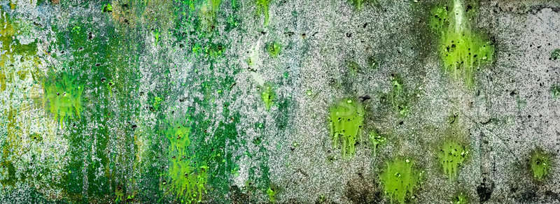 Sıçraması noktalar yeşil boya kaba duvar Stok fotoğraf © amok