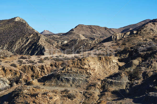 Tabernas Desert in Spain Stock photo © amok