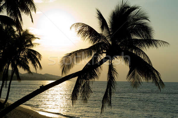 Сток-фото: острове · закат · солнце · природы · пейзаж · морем