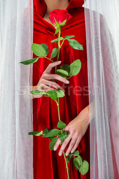 Nő visel piros köpeny tart piros rózsa Stock fotó © amok