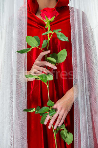 Stockfoto: Vrouw · Rood · mantel · Rood · rose