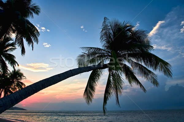 Paraíso isla puesta de sol sol naturaleza paisaje Foto stock © amok