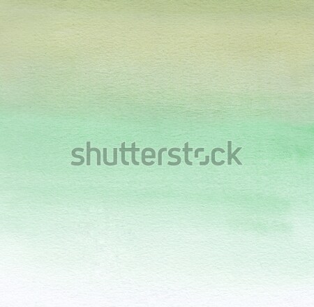 Watercolor painting. White and green gradient  Stock photo © amok