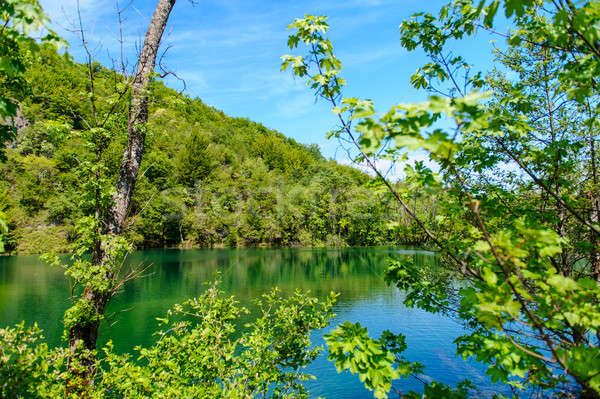 Plitvice Lakes National Park in Croatia, beautiful landscape Stock photo © amok