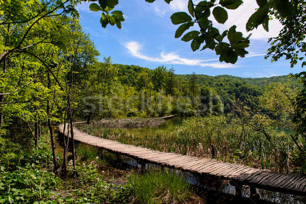 Parc Croatie belle paysage bois forêt [[stock_photo]] © amok