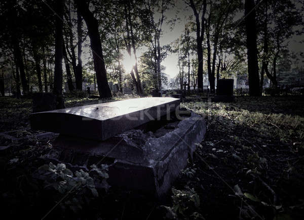 Open tomba vecchio cimitero sfondo morte Foto d'archivio © amok