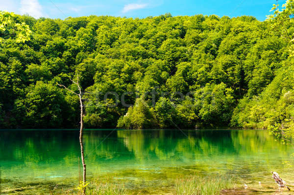 Plitvice Lakes National Park in Croatia, beautiful landscape Stock photo © amok