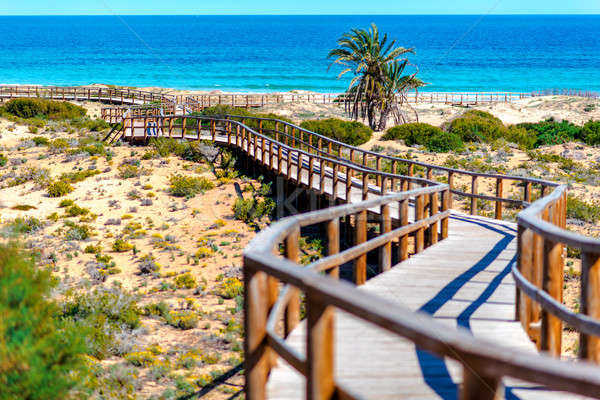 Los Arenales del Sol beach in Costa Blanca. Spain Stock photo © amok