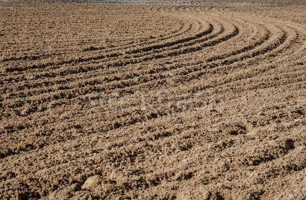 Homokos tengerpart közelkép homok textúra szín minta Stock fotó © amok