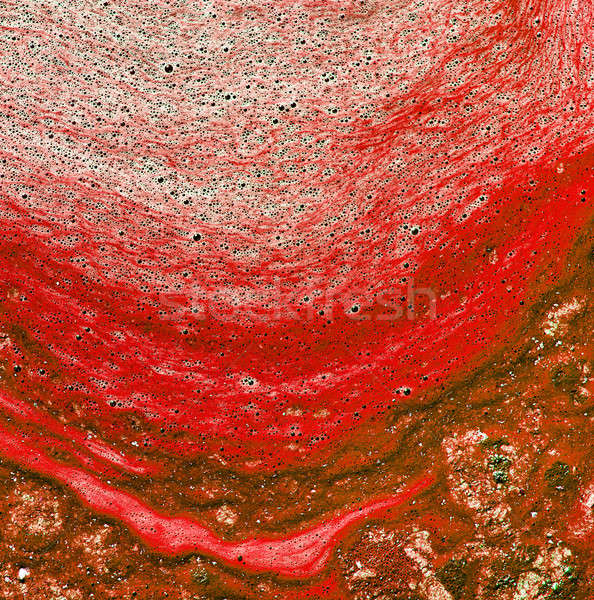 Polluted water with algae. Red color. Textured background Stock photo © amok