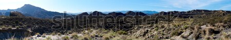 Panorama of Tabernas Desert in Spain Stock photo © amok