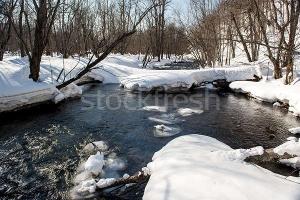 Landscape of mountain river. Kamchatka Stock photo © amok