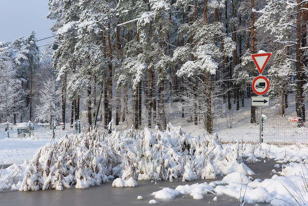 árvores coberto neve floresta gelo assinar Foto stock © amok