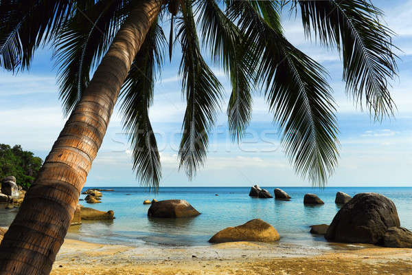 Tropical beach, Thailand Stock photo © amok