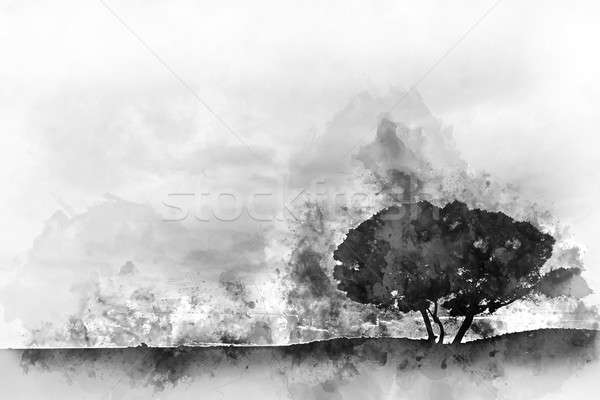 Stock photo: Silhouette of a tree. Digital watercolor monochrome painting 