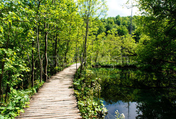 Beautiful landscape. Plitvice Lakes National Park in Croatia Stock photo © amok